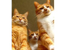 �� ������, ���� �� ������!