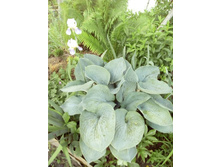 575f2020eb071 img20160610184001.jpg