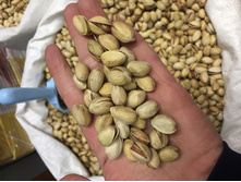 �������� ������-�������. �������� ������������ ���������. 630 ���/��.