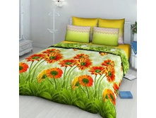 39-923 4200-1 ��� 1,5�� ������� ���� ��������.jpg