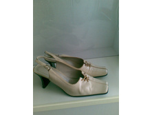 ���. ���� �. 38 ����� � ����� ��������