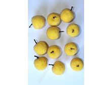 ������ ������������, ������.