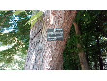 ��� ��� ������� �� �������� ����������