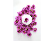 ������� ������������ ��� 4 ��, ���������