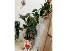 20170605 212948.jpg