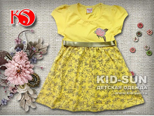 D-1427. 355 ���.