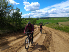 P 20170603 120125.jpg