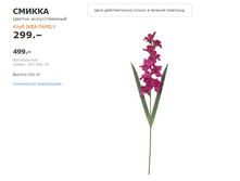 ������ 30335676.jpg