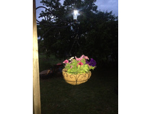 ������� �� ������� Noatel IMG 1067.JPG