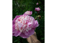 "��������� ����"