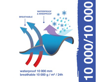 ���� � ���������������������� 10000.jpg