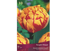 ������� ������ �����.jpg