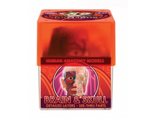 (ENG)E2370BS ��������� ��� ���� � ����� ���� 270 ���..jpg