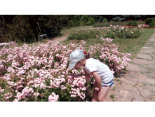 ��� ������ ����