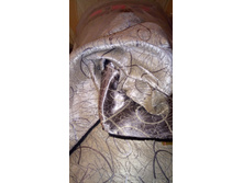 P 20170302 205600.jpg