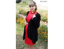 �������� PL2-316.jpg