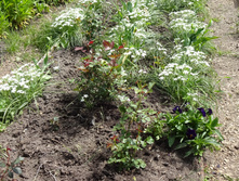 ������������ � �����