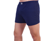 ����� ������� ����.jpg