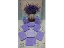 ���������� ����������