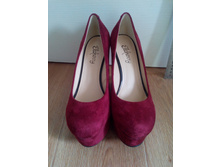 600 ���, 37 �-�