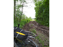 IMG 20170610 124734.jpg