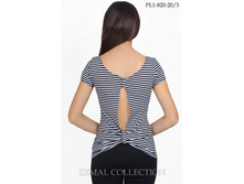 �������� PL1-820 �����.jpg