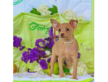 �� �����