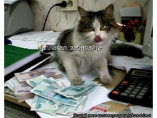 ��������, ���������!