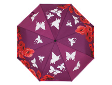 210204 FJ_1250 ���