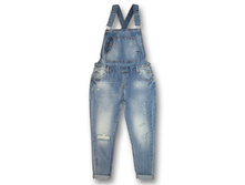 �iris CK 1596 1.jpg