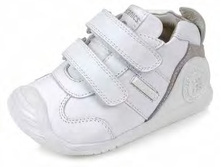 Pre-CAT-Biomecanics-151157-E