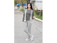 ��. ������ PP1-072