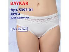 ����� 5397 �����