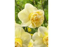 42,46���. ������� ��� ������(�������� ���� �� 7 ��.) �������� 4 ��..jpg