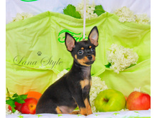 �� �����