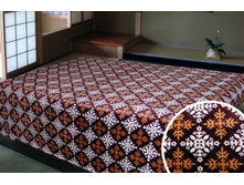 096 �������