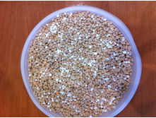 ���������������� ���������������� ����������� "�������" �� ����� ��������� ������������ ������ � �����������