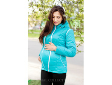 ������ PK1-247