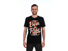 No�10 ��������