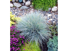 ��������� ������� ��� ����.jpg