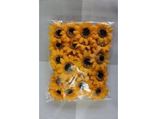 ������� ����������