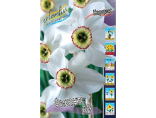 15,46���. ������� ������� ��(�������� ���� �� 10 ��.) �������� 5 ��..jpg