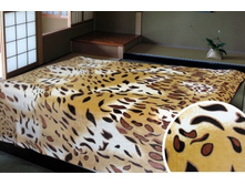 095 ��������