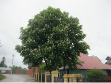 37. �������� ������ �� ����� �����.jpg