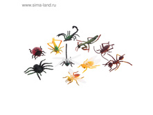 ����� �������� ��������� (����� 10 ��) ���.1169833 ���� 72 ��� ���. 2 ������.jpg