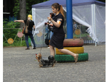 1-IMG 3465.JPG