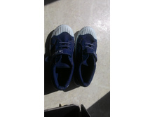 P 20170507 103223.jpg