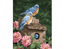 ��������� 38�48 Ag 3420.jpg