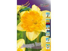 38,34���. ������� ������ ���(�������� ���� �� 5 ��.) �������� 3 ��..jpg