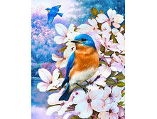 ����� ���� ������ 38�48 Ag 4660.jpg